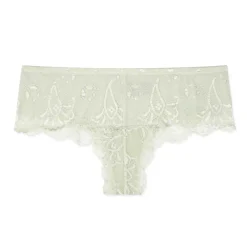 Red Carpet Ready Lace Hipster
