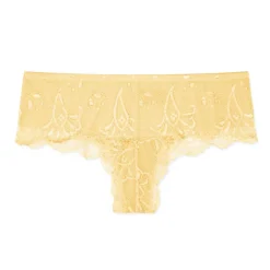 Red Carpet Ready Lace Hipster